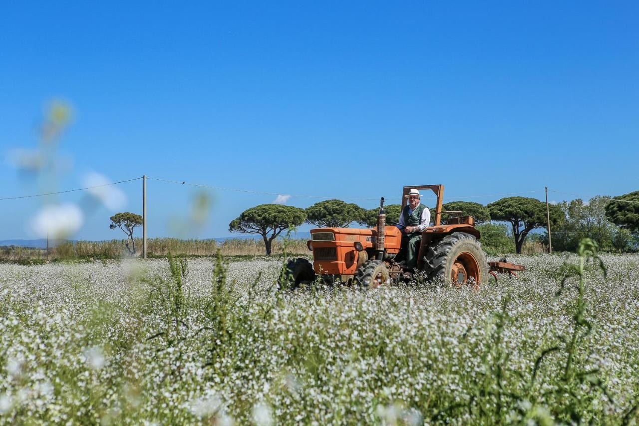 Agriturismo Ristorante مونتي أرجينتاريو المظهر الخارجي الصورة