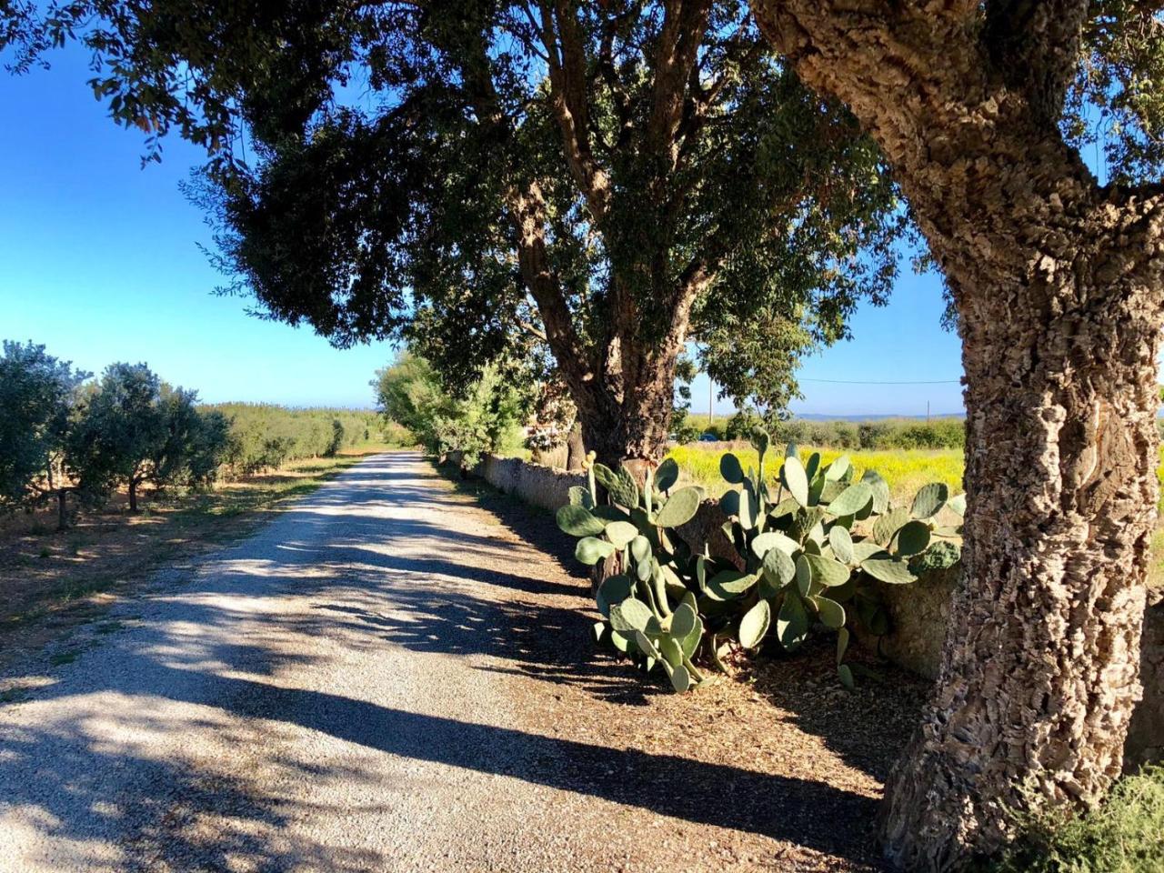 Agriturismo Ristorante مونتي أرجينتاريو المظهر الخارجي الصورة